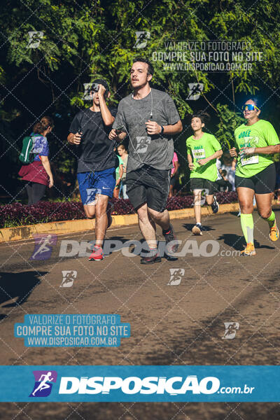 Vale Verde Run 2024