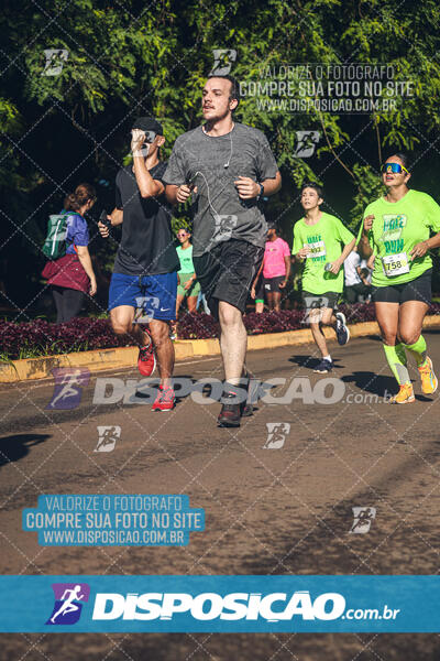 Vale Verde Run 2024