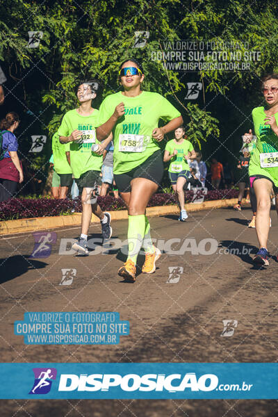 Vale Verde Run 2024