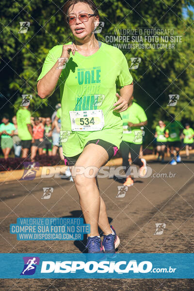 Vale Verde Run 2024