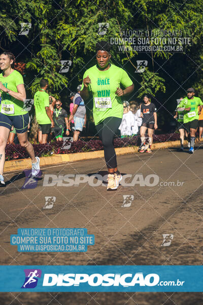 Vale Verde Run 2024