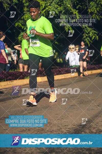 Vale Verde Run 2024