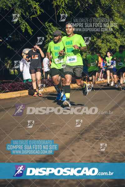 Vale Verde Run 2024