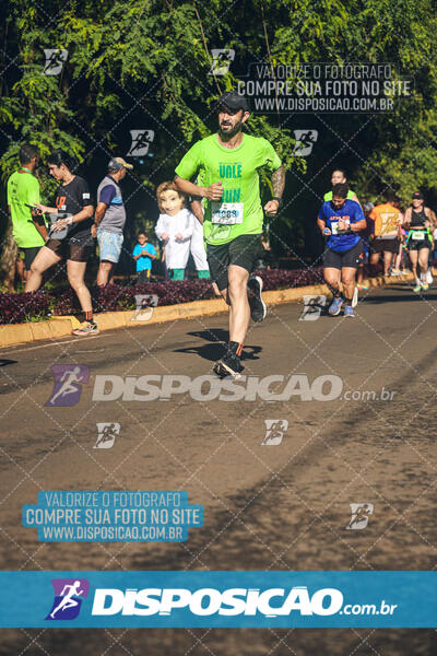 Vale Verde Run 2024