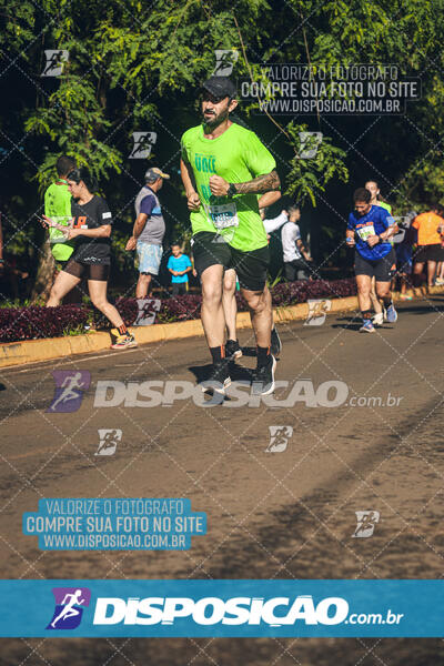 Vale Verde Run 2024