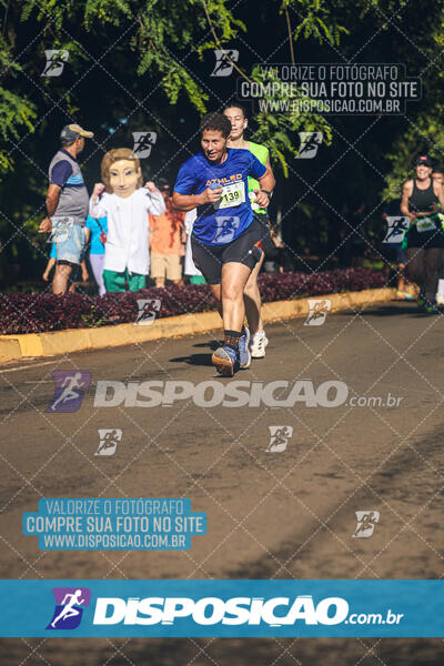 Vale Verde Run 2024