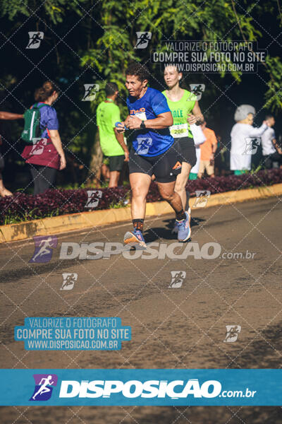 Vale Verde Run 2024