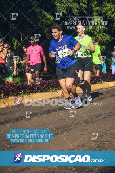 Vale Verde Run 2024