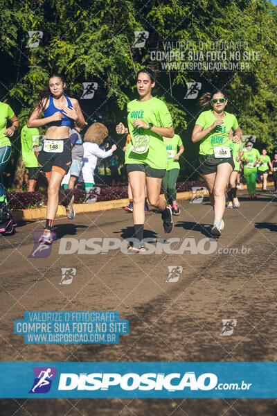 Vale Verde Run 2024