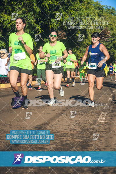 Vale Verde Run 2024