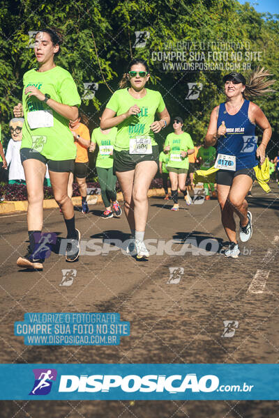 Vale Verde Run 2024