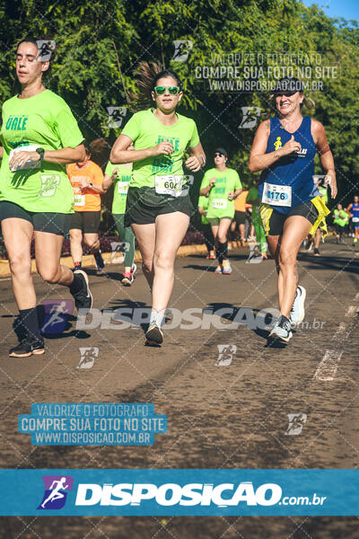 Vale Verde Run 2024