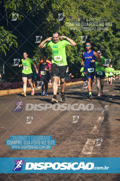 Vale Verde Run 2024