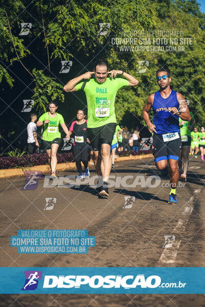 Vale Verde Run 2024