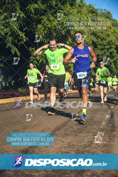 Vale Verde Run 2024