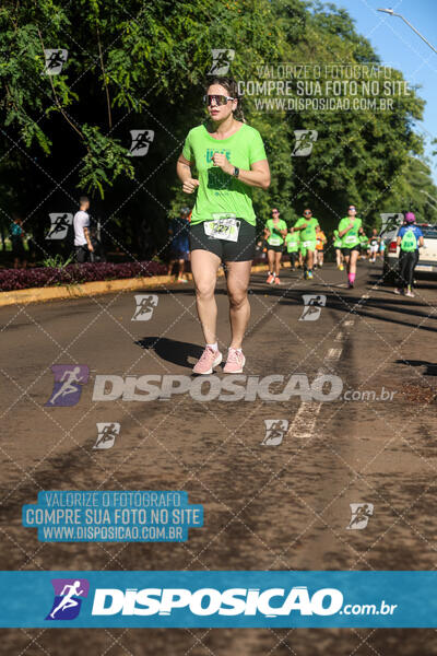 Vale Verde Run 2024