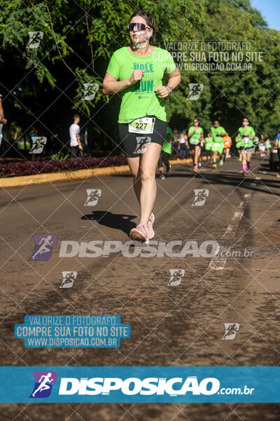 Vale Verde Run 2024