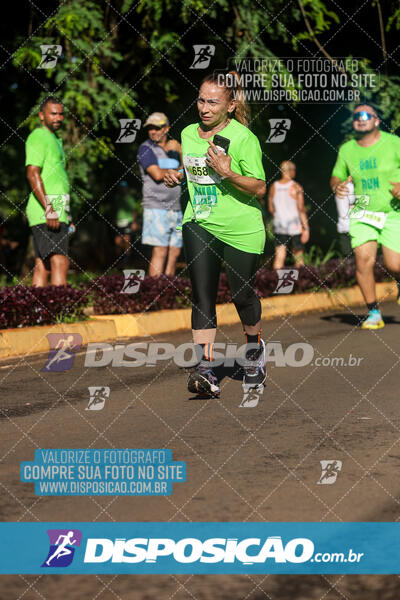 Vale Verde Run 2024