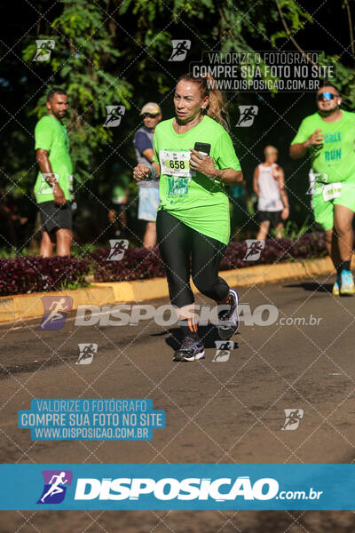 Vale Verde Run 2024