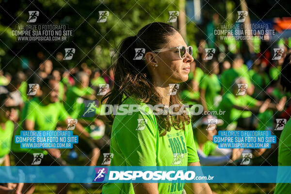 Vale Verde Run 2024