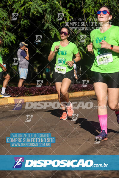 Vale Verde Run 2024