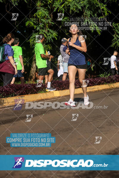 Vale Verde Run 2024