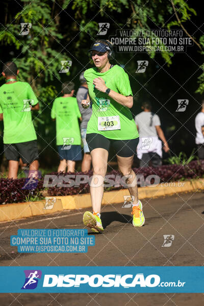 Vale Verde Run 2024