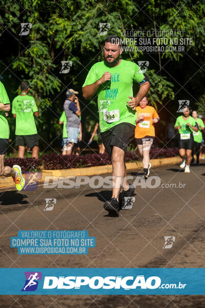 Vale Verde Run 2024