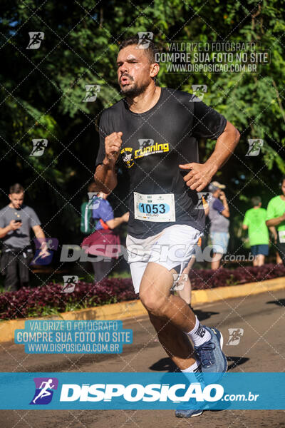 Vale Verde Run 2024