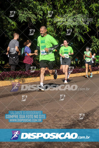 Vale Verde Run 2024