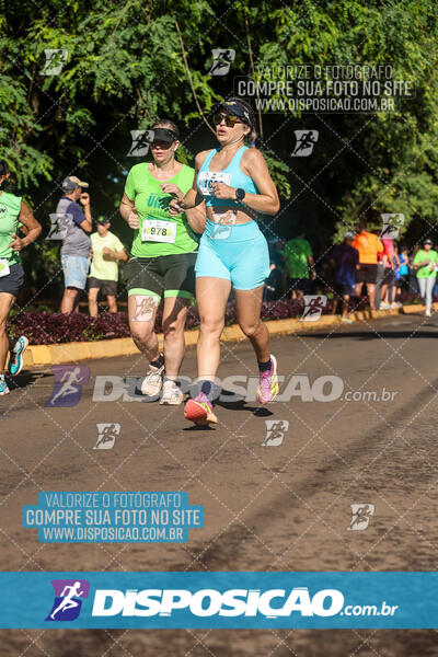 Vale Verde Run 2024