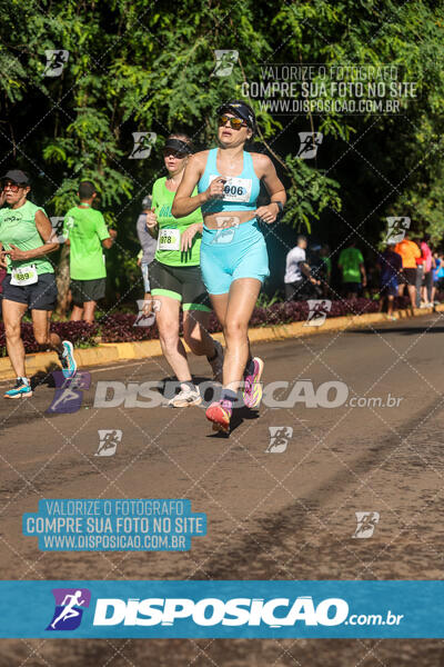 Vale Verde Run 2024