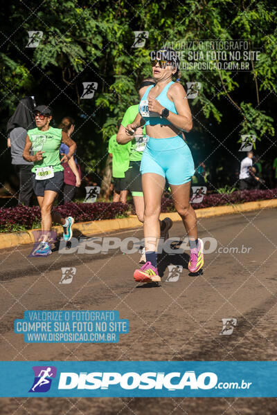 Vale Verde Run 2024