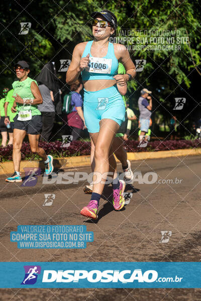 Vale Verde Run 2024