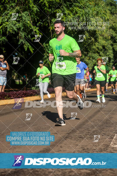 Vale Verde Run 2024