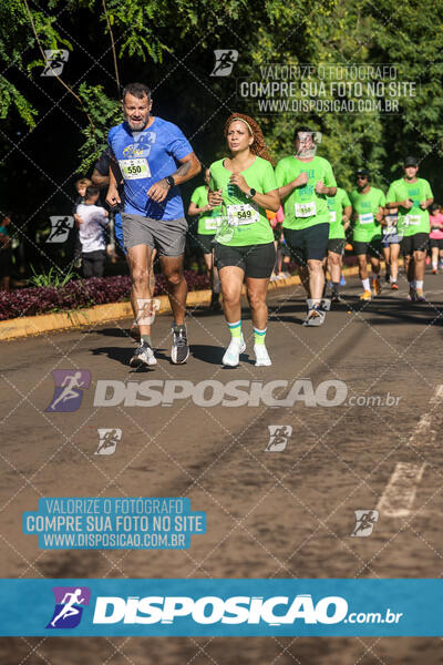 Vale Verde Run 2024