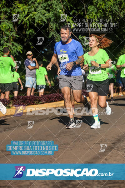 Vale Verde Run 2024