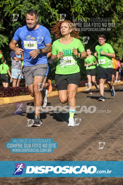 Vale Verde Run 2024