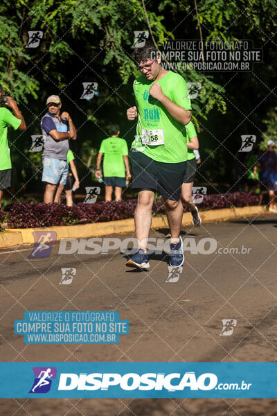 Vale Verde Run 2024