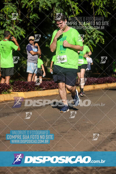 Vale Verde Run 2024