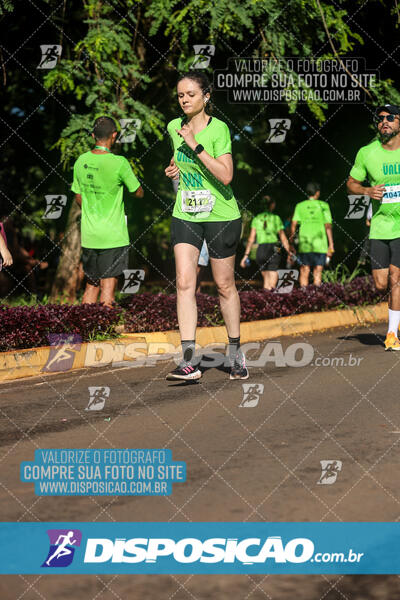 Vale Verde Run 2024