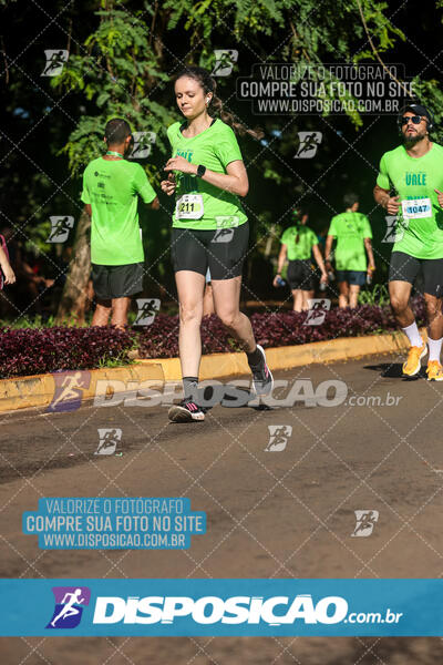 Vale Verde Run 2024