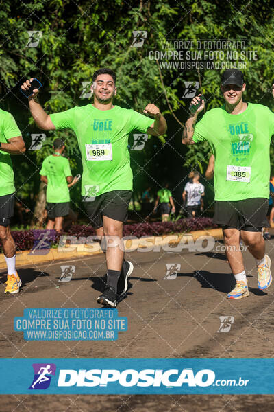 Vale Verde Run 2024