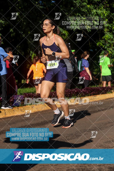 Vale Verde Run 2024