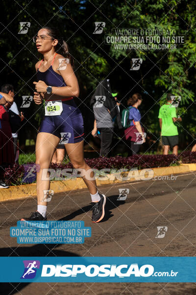 Vale Verde Run 2024