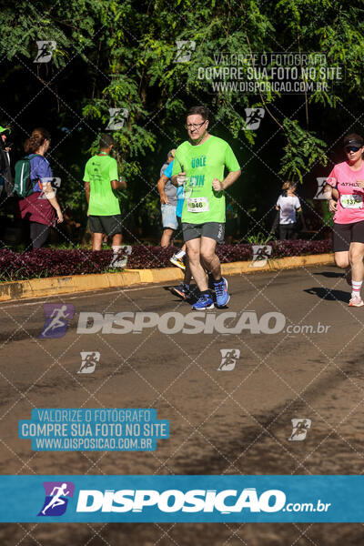 Vale Verde Run 2024