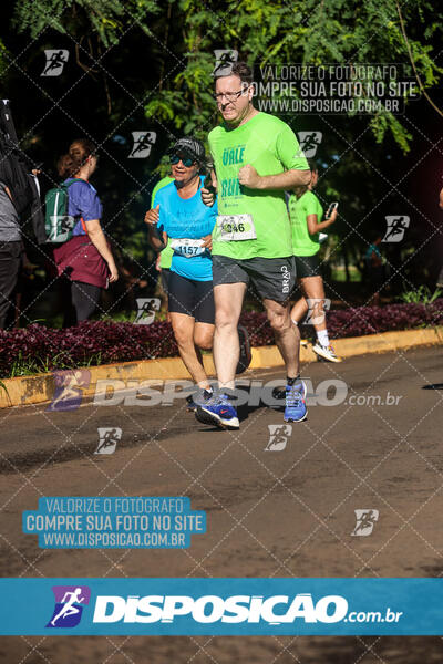 Vale Verde Run 2024