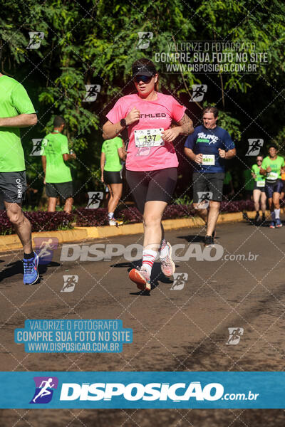 Vale Verde Run 2024