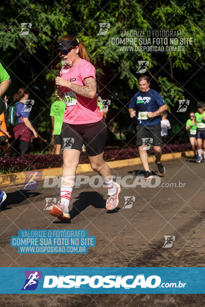 Vale Verde Run 2024