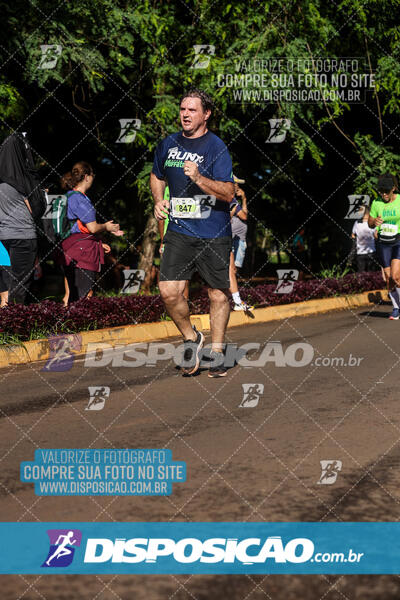 Vale Verde Run 2024